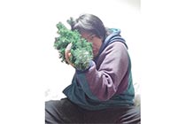 大陸